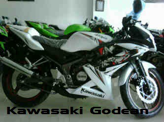 Ninja RR